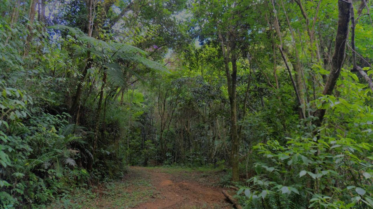 Pousada Alpes Santo Antônio do Pinhal Buitenkant foto